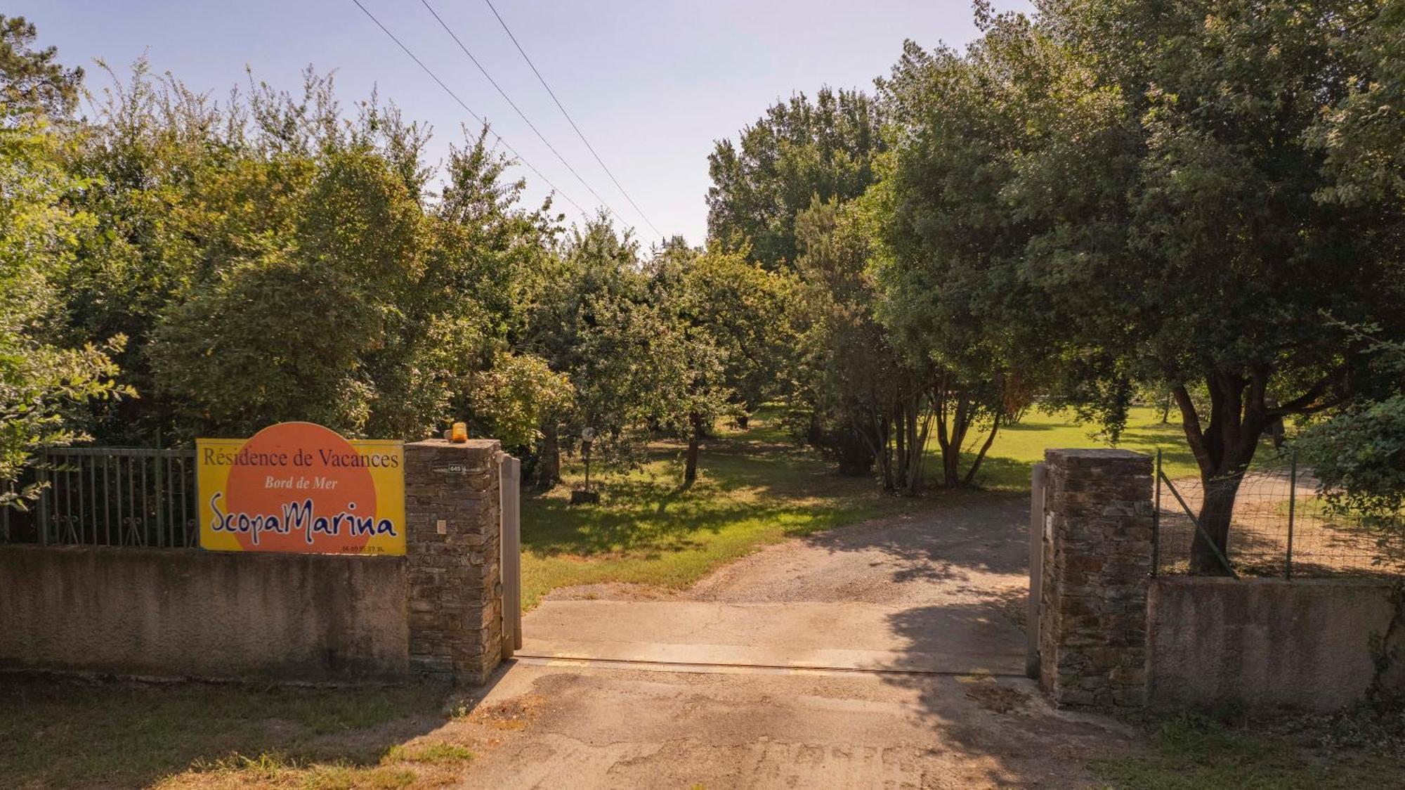 Scopa Marina Poggio Mezzana