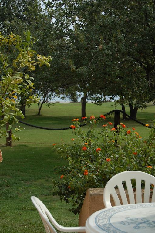 Appartement Scopa Marina
