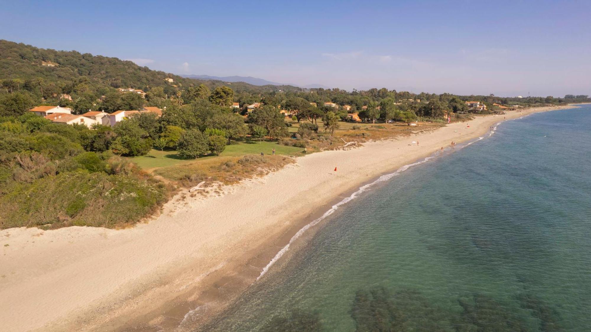 Scopa Marina *