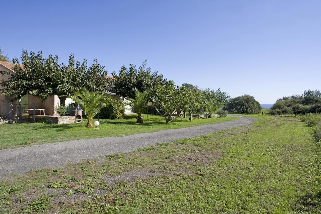 Apartment Scopa Marina