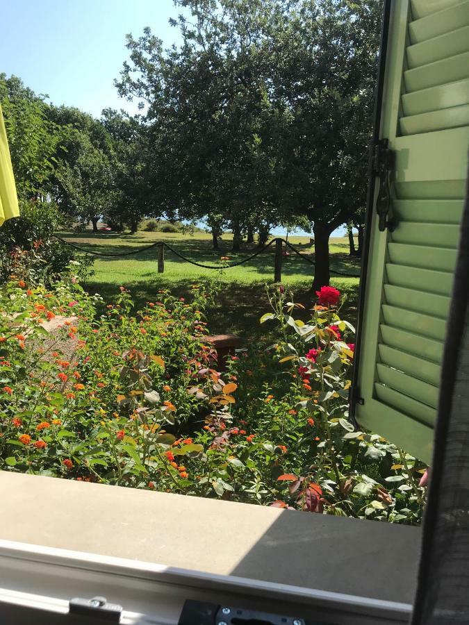 Scopa Marina Apartment